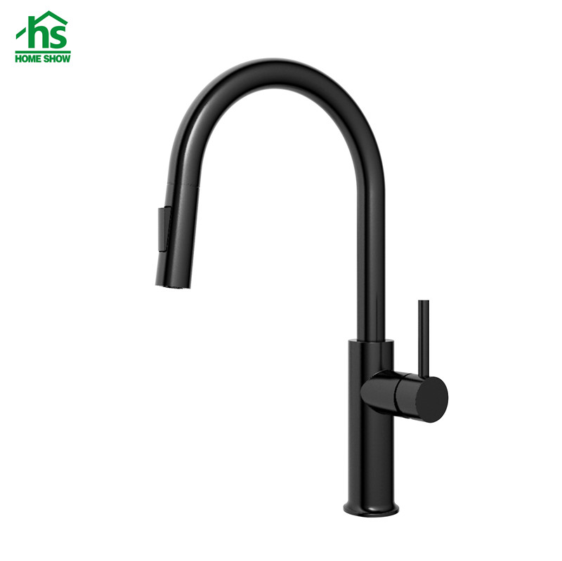  OEM Economic Cheap Two Function Stainless Steel Pull Out Kitchen Faucet C03 1669